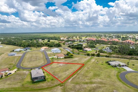 Land in Punta Gorda, Florida № 2097433 - photo 13