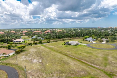 Land in Punta Gorda, Florida № 2097433 - photo 2