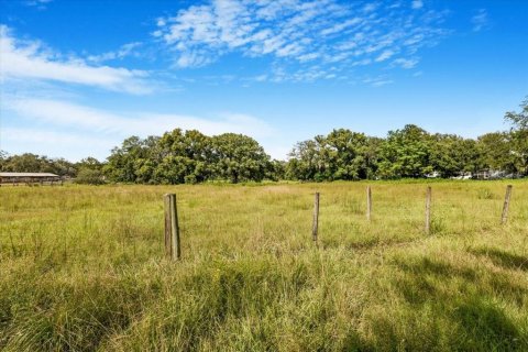 Terreno en venta en Thonotosassa, Florida № 1913734 - foto 12