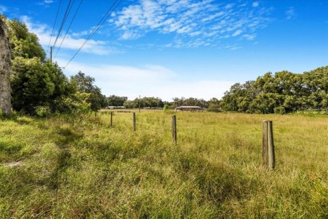 Terreno en venta en Thonotosassa, Florida № 1913734 - foto 9