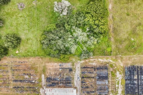 Terreno en venta en Thonotosassa, Florida № 1913734 - foto 2