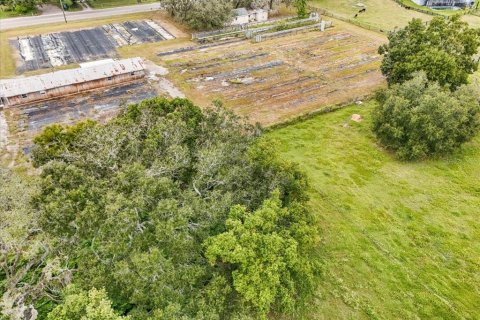 Terreno en venta en Thonotosassa, Florida № 1913734 - foto 29