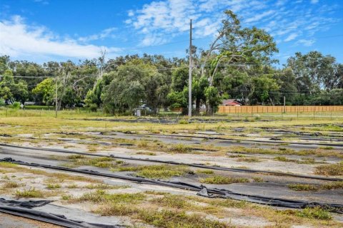 Terreno en venta en Thonotosassa, Florida № 1913734 - foto 5