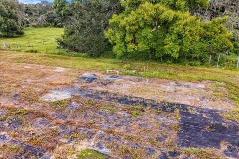 Terreno en venta en Thonotosassa, Florida № 1913734 - foto 18