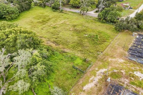 Terreno en venta en Thonotosassa, Florida № 1913734 - foto 21