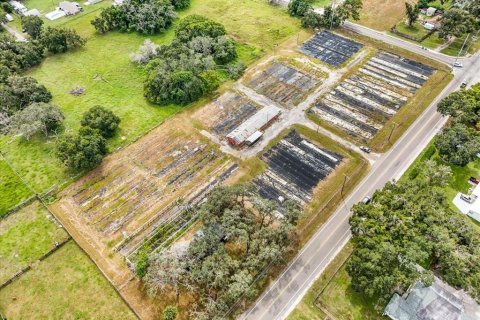 Terreno en venta en Thonotosassa, Florida № 1913734 - foto 1