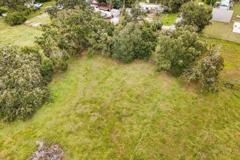 Terreno en venta en Thonotosassa, Florida № 1913734 - foto 27