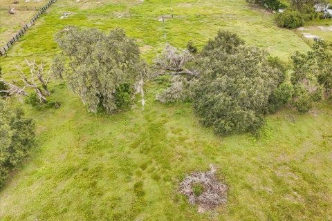 Terreno en venta en Thonotosassa, Florida № 1913734 - foto 28