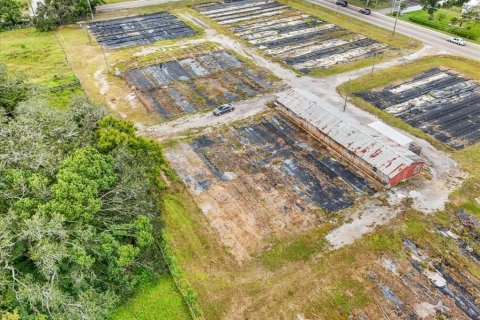 Terreno en venta en Thonotosassa, Florida № 1913734 - foto 24
