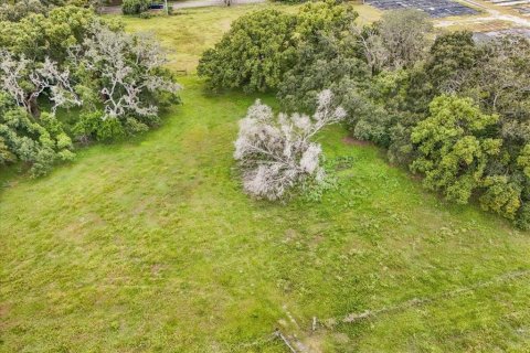 Terreno en venta en Thonotosassa, Florida № 1913734 - foto 25