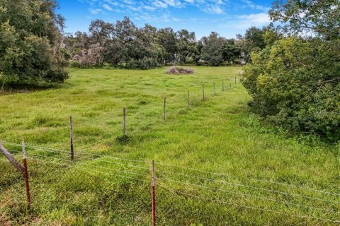 Terreno en venta en Thonotosassa, Florida № 1913734 - foto 13