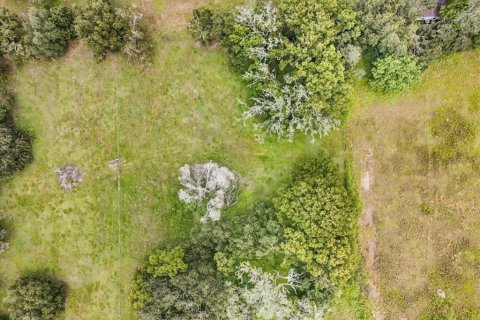 Terreno en venta en Thonotosassa, Florida № 1913734 - foto 14