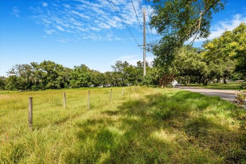 Terreno en venta en Thonotosassa, Florida № 1913734 - foto 10