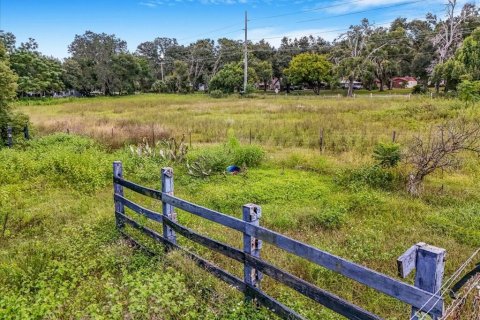 Terreno en venta en Thonotosassa, Florida № 1913734 - foto 11