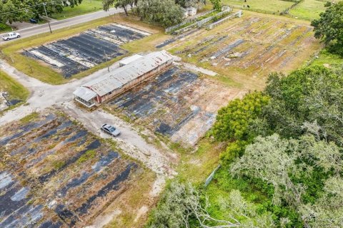 Terreno en venta en Thonotosassa, Florida № 1913734 - foto 23