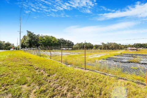 Terreno en venta en Thonotosassa, Florida № 1913734 - foto 6