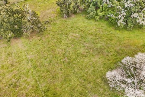 Terreno en venta en Thonotosassa, Florida № 1913734 - foto 26
