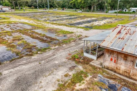 Terreno en venta en Thonotosassa, Florida № 1913734 - foto 20