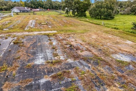 Terreno en venta en Thonotosassa, Florida № 1913734 - foto 17