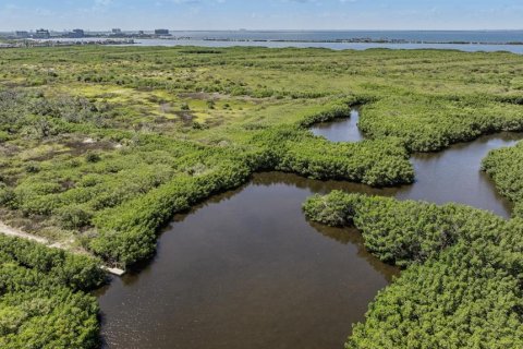 Купить виллу или дом в Тампа, Флорида 10 комнат, 514.96м2, № 1798586 - фото 7