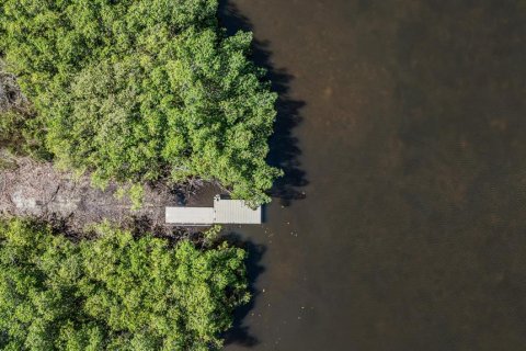 Купить виллу или дом в Тампа, Флорида 10 комнат, 514.96м2, № 1798586 - фото 8