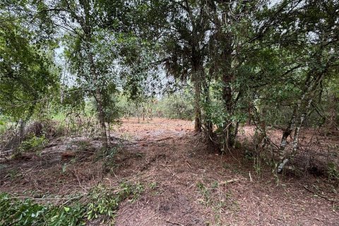Land in Clewiston, Florida № 1903446 - photo 2