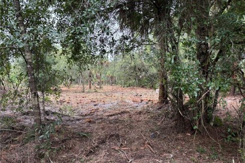 Land in Clewiston, Florida № 1903446 - photo 3