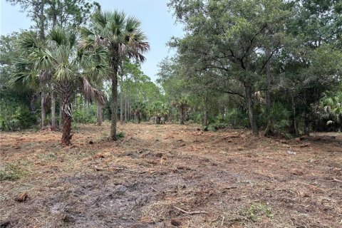 Land in Clewiston, Florida № 1903446 - photo 1