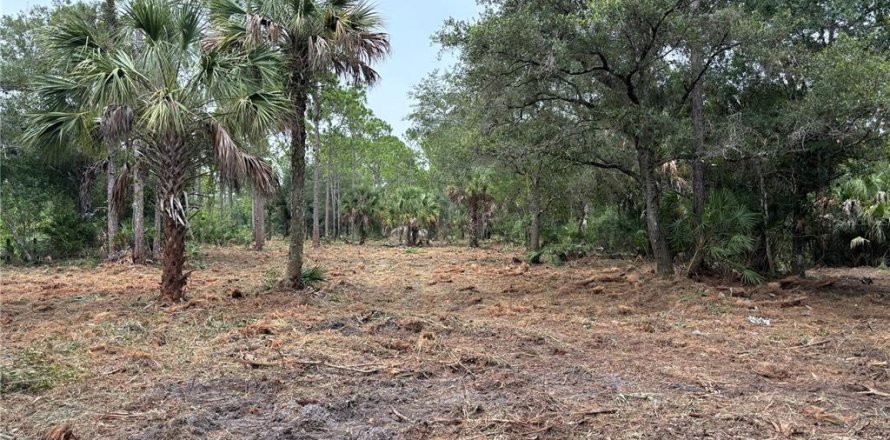Land in Clewiston, Florida № 1903446