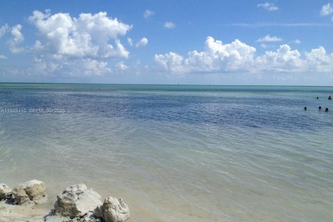 Casa en venta en Key Largo, Florida, 2 dormitorios, 90.67 m2 № 1983746 - foto 4