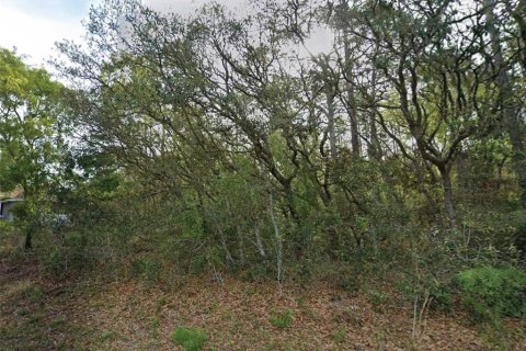 Terreno en Citrus Springs, Florida № 2209944