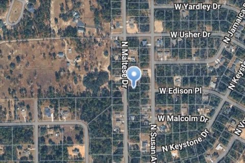 Land in Citrus Springs, Florida № 2209944 - photo 2