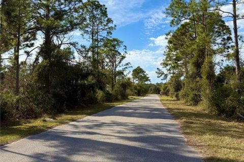 Land in North Port, Florida № 2161576 - photo 3