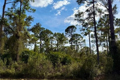 Land in North Port, Florida № 2161576