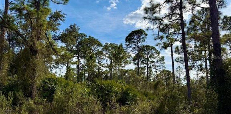 Land in North Port, Florida № 2161576