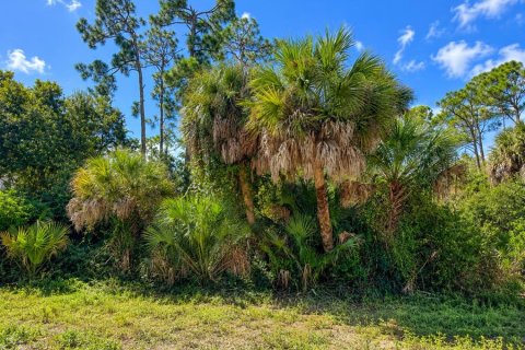 Land in Port Charlotte, Florida № 2353199