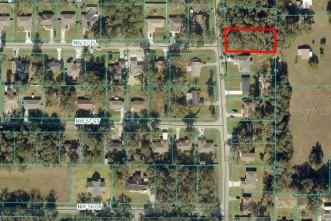 Terreno en venta en Ocala, Florida № 2213402 - foto 3