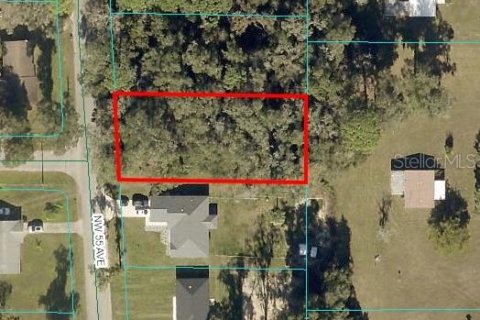 Terreno en venta en Ocala, Florida № 2213402 - foto 2