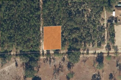 Land in Interlachen, Florida № 2361337