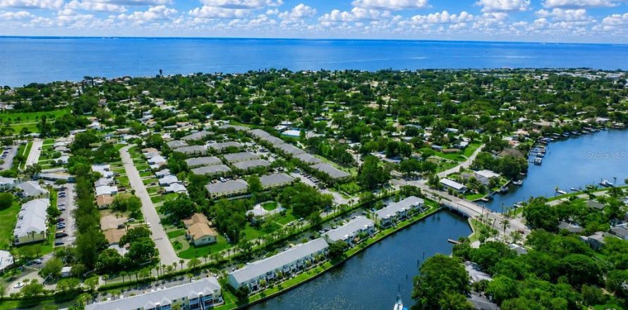 Condo à Saint Petersburg, Floride, 1 chambre № 2156001