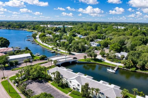 Copropriété à louer à Saint Petersburg, Floride: 1 chambre, 60.01 m2 № 2156001 - photo 2