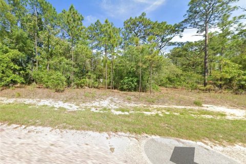 Land in Dunnellon, Florida № 2203091 - photo 2