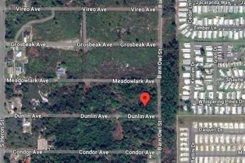 Land in Sebring, Florida № 2201674 - photo 2