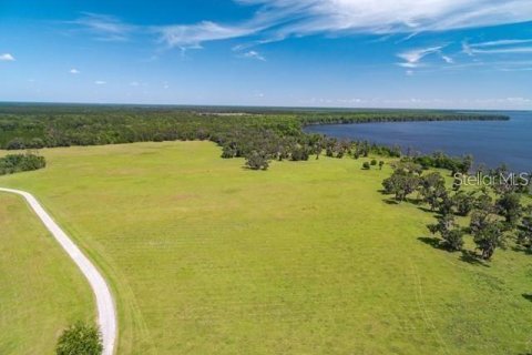 Land in Bunnell, Florida № 1901078 - photo 2
