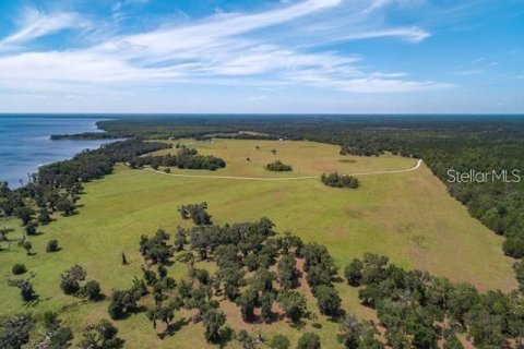 Land in Bunnell, Florida № 1901078 - photo 11