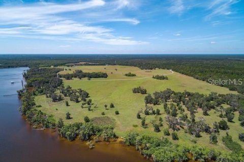 Land in Bunnell, Florida № 1901078 - photo 10