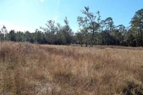Land in Lake City, Florida № 1554137 - photo 1