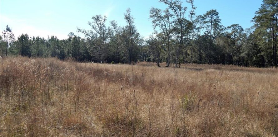 Land in Lake City, Florida № 1554137
