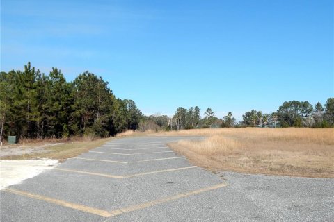 Land in Lake City, Florida № 1554137 - photo 5