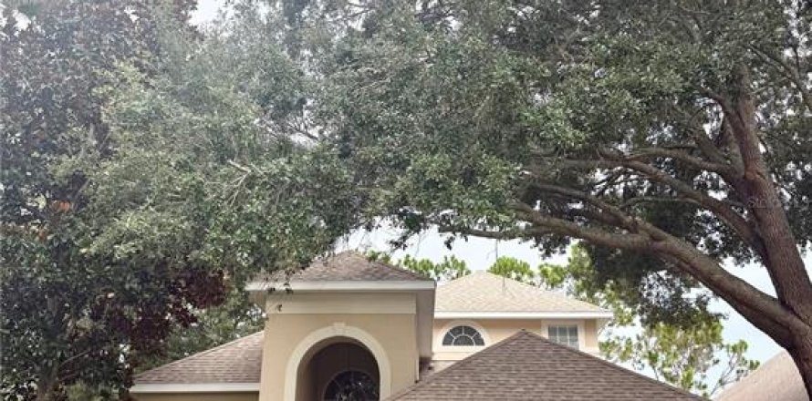 Casa en Wesley Chapel, Florida 4 dormitorios, 217.48 m2 № 2277818
